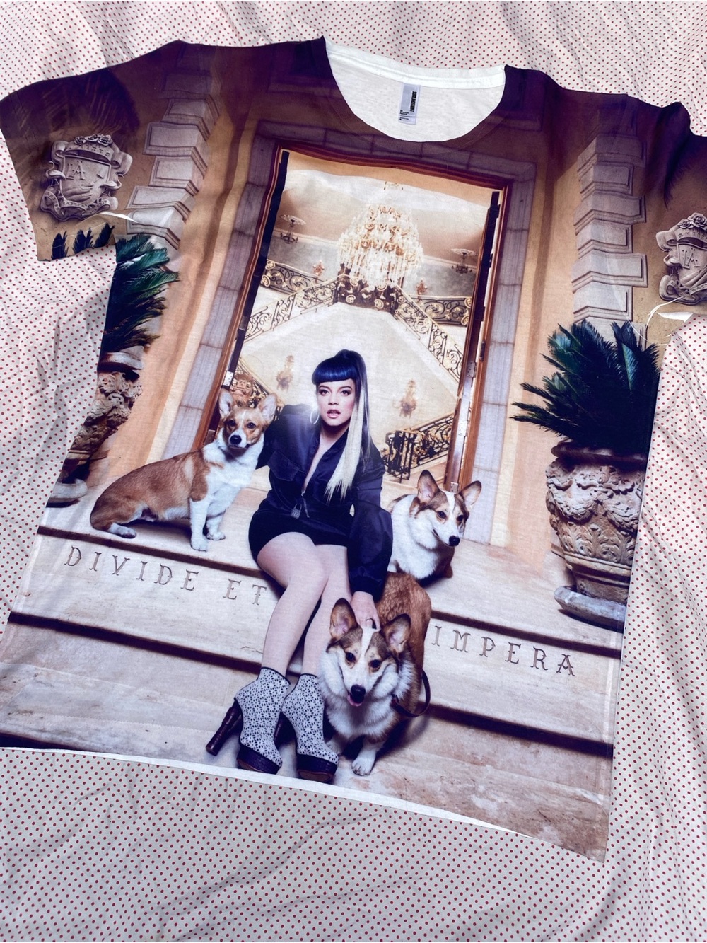 Lily Allen Sheezus Shirt